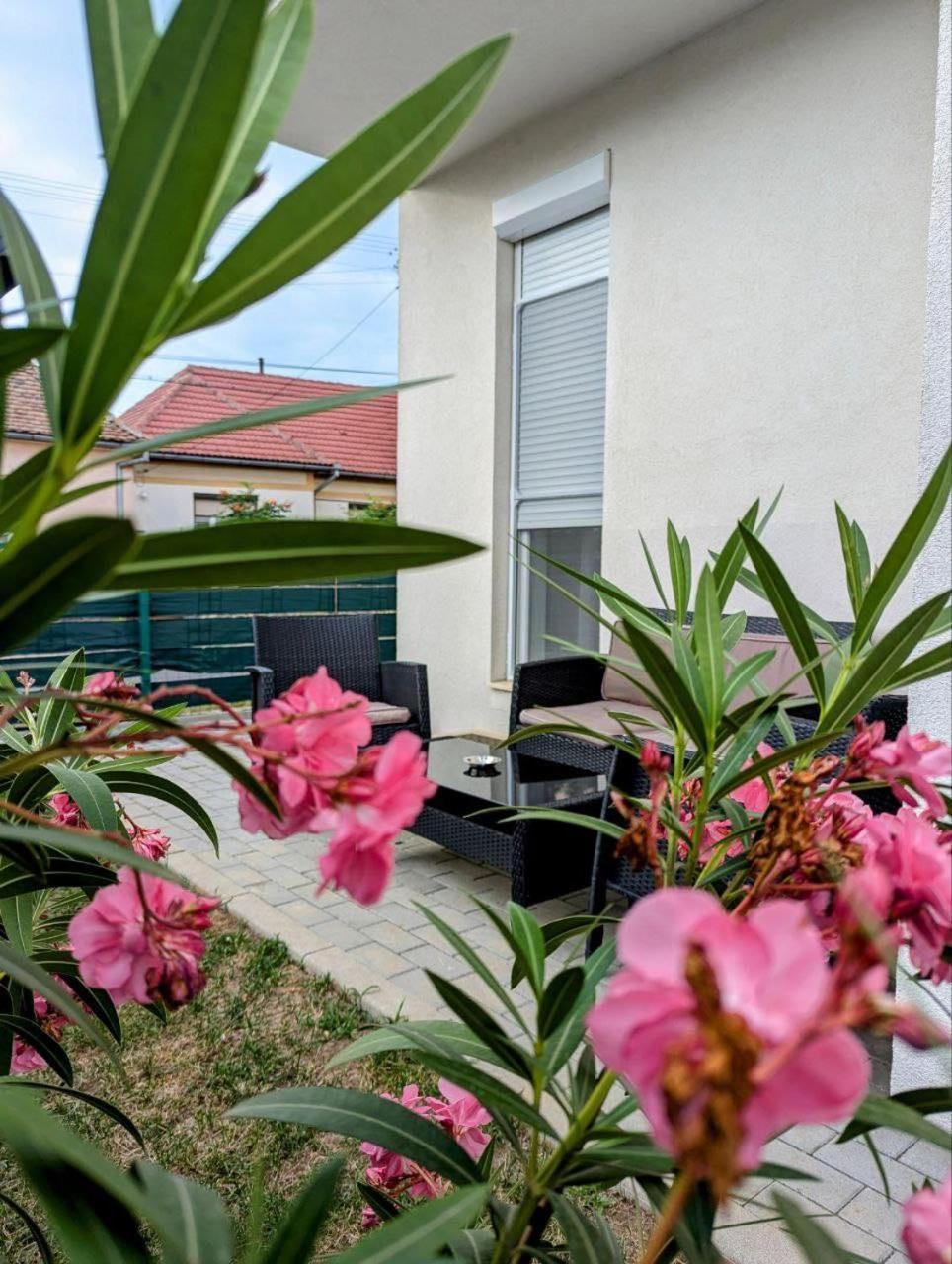 Appartamento Gast Haus Sibiu Esterno foto